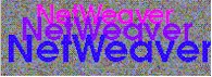 netweaver.jpg (10756 octets)