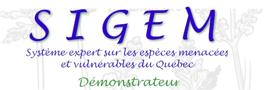 logo1.jpg (29024 octets)